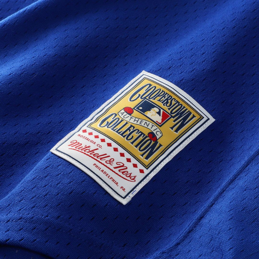Atlanta Braves Dale Murphy Mitchell & Ness Authentic Batting Practice Jersey - Royal Team Jersey Sports Fan Apparel