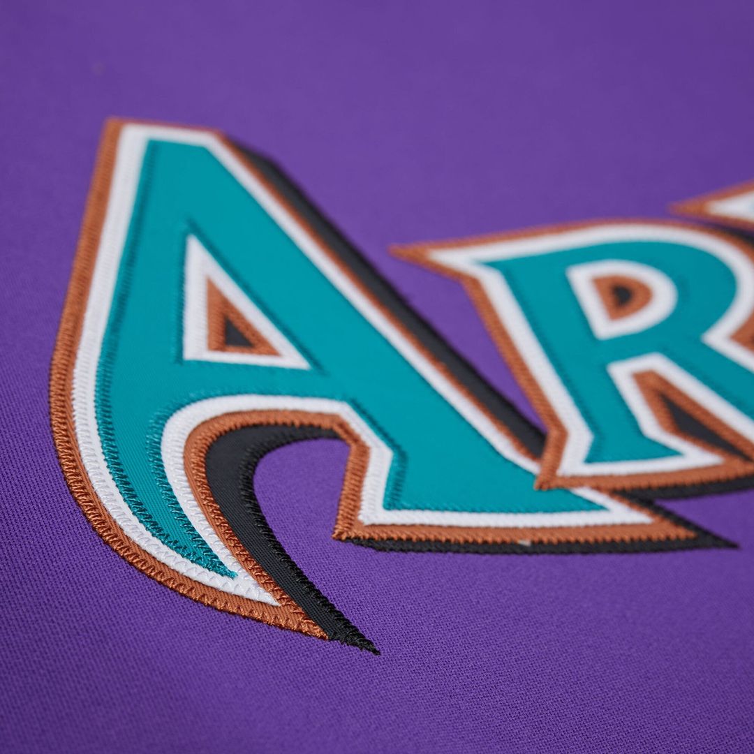 Arizona Diamondbacks Randy Johnson Mitchell & Ness 2001 Authentic Jersey - Black Team Jersey Sports Fan Apparel
