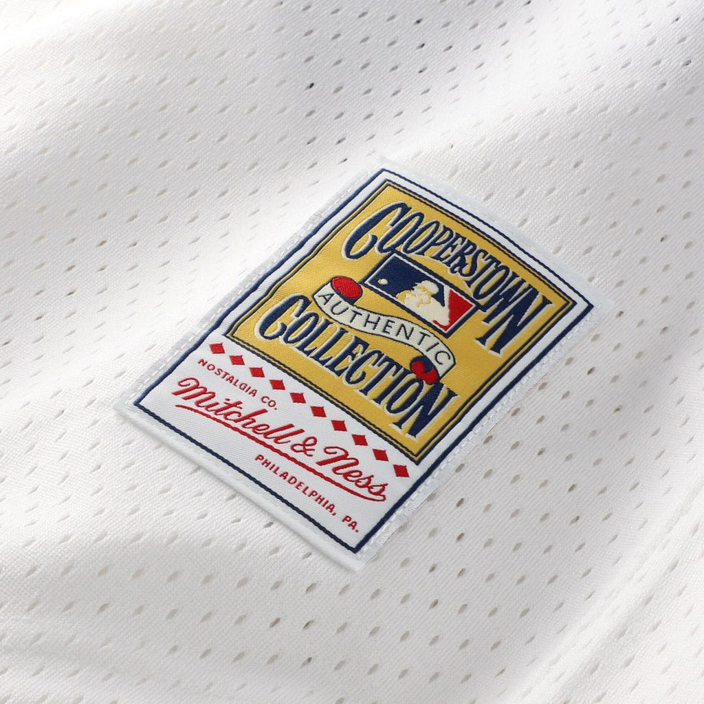 Chicago White Sox Carlton Fisk Mitchell & Ness Authentic Batting Practice Jersey - Navy Team Jersey Sports Fan Apparel