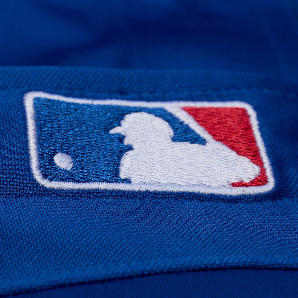 Texas Rangers Adrian Beltre Mitchell & Ness Cooperstown Mesh Batting Practice Button - Up Jersey - Royal Team Jersey Sports Fan Apparel