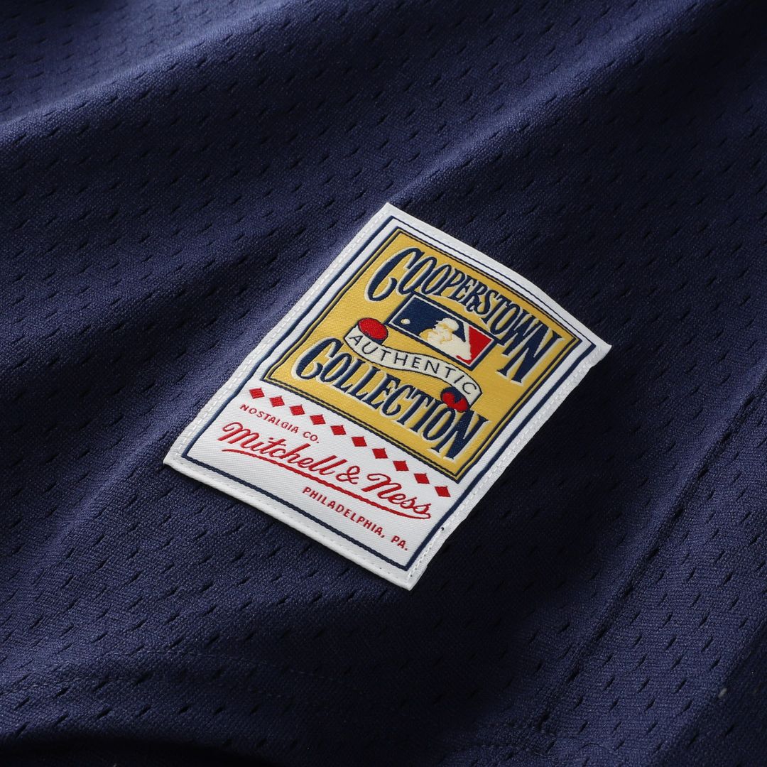 Detroit Tigers Alan Trammell Mitchell & Ness Authentic Batting Practice Jersey - Navy Team Jersey Sports Fan Apparel