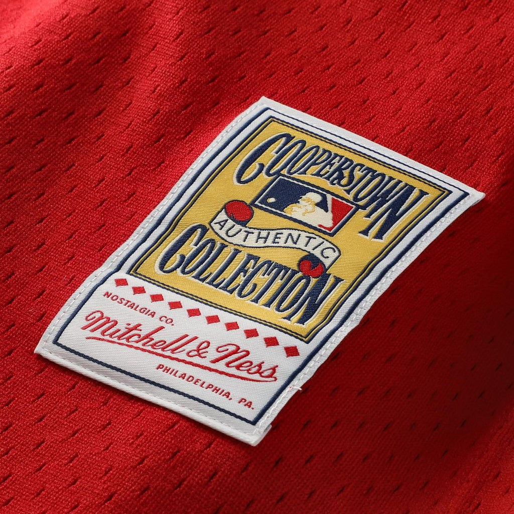 Cincinnati Reds Johnny Bench Mitchell & Ness Cooperstown Big & Tall Mesh Batting Practice Jersey - Red Team Jersey Sports Fan Apparel