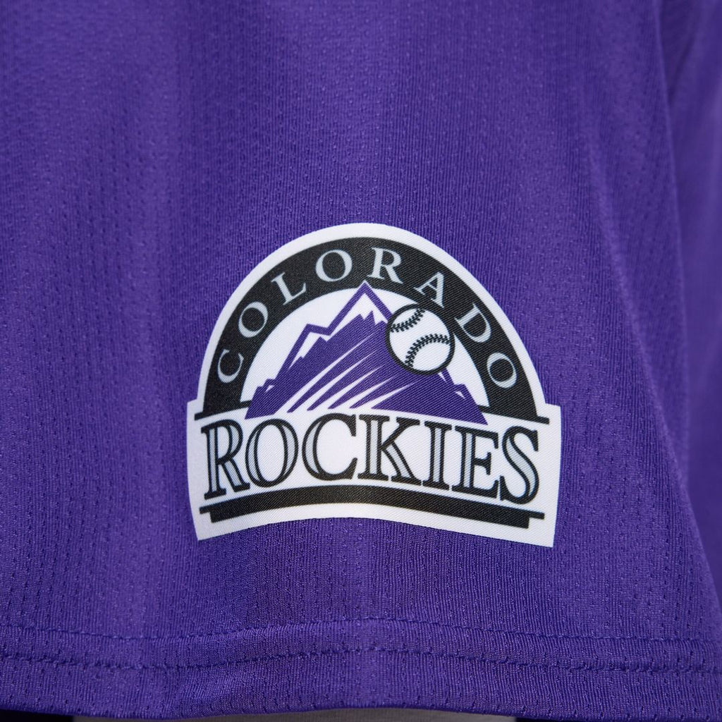 Colorado Rockies Nike Alternate Limited Jersey - Purple Team Jersey Sports Fan Apparel