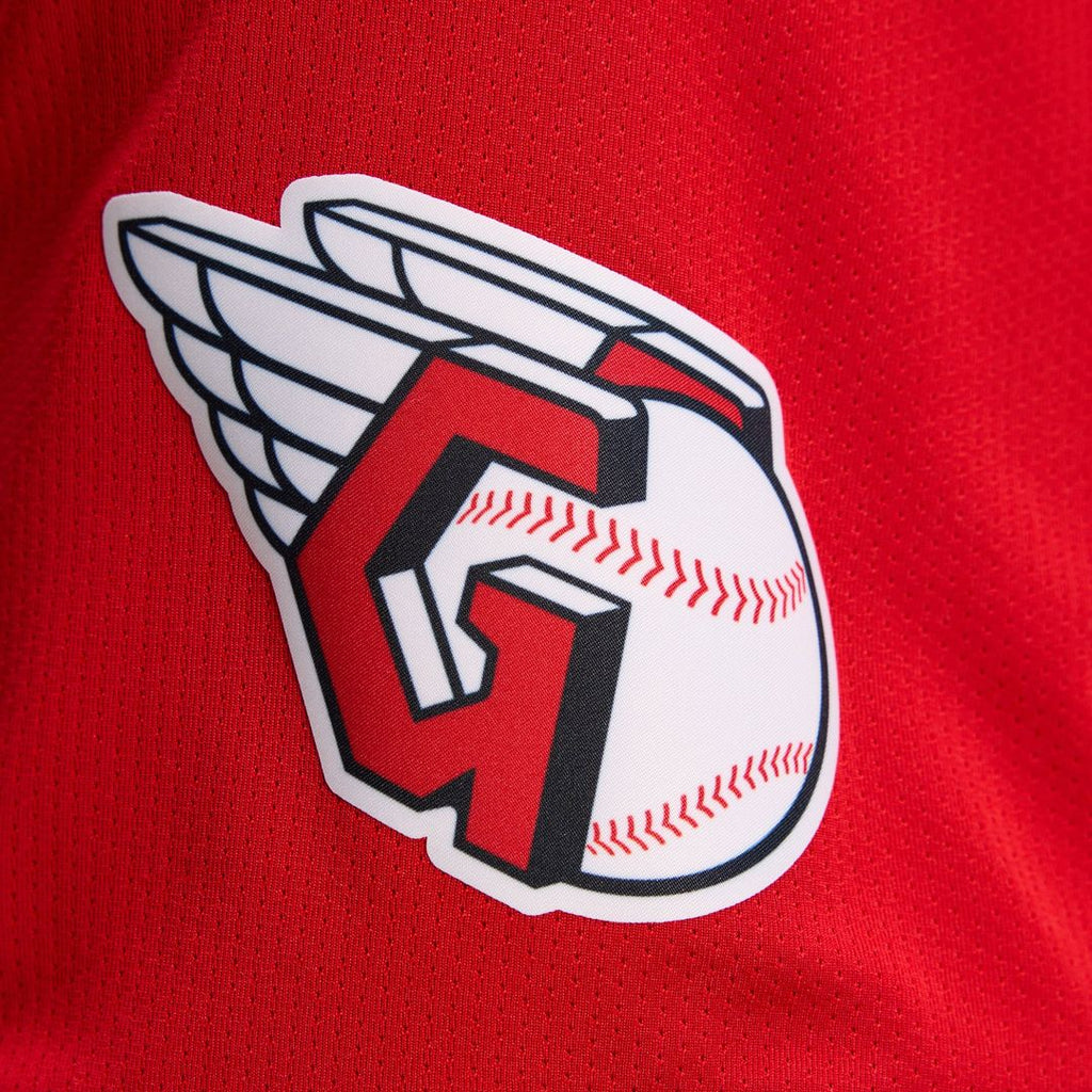 Cleveland Guardians Nike Road Limited Jersey - Gray Team Jersey Sports Fan Apparel