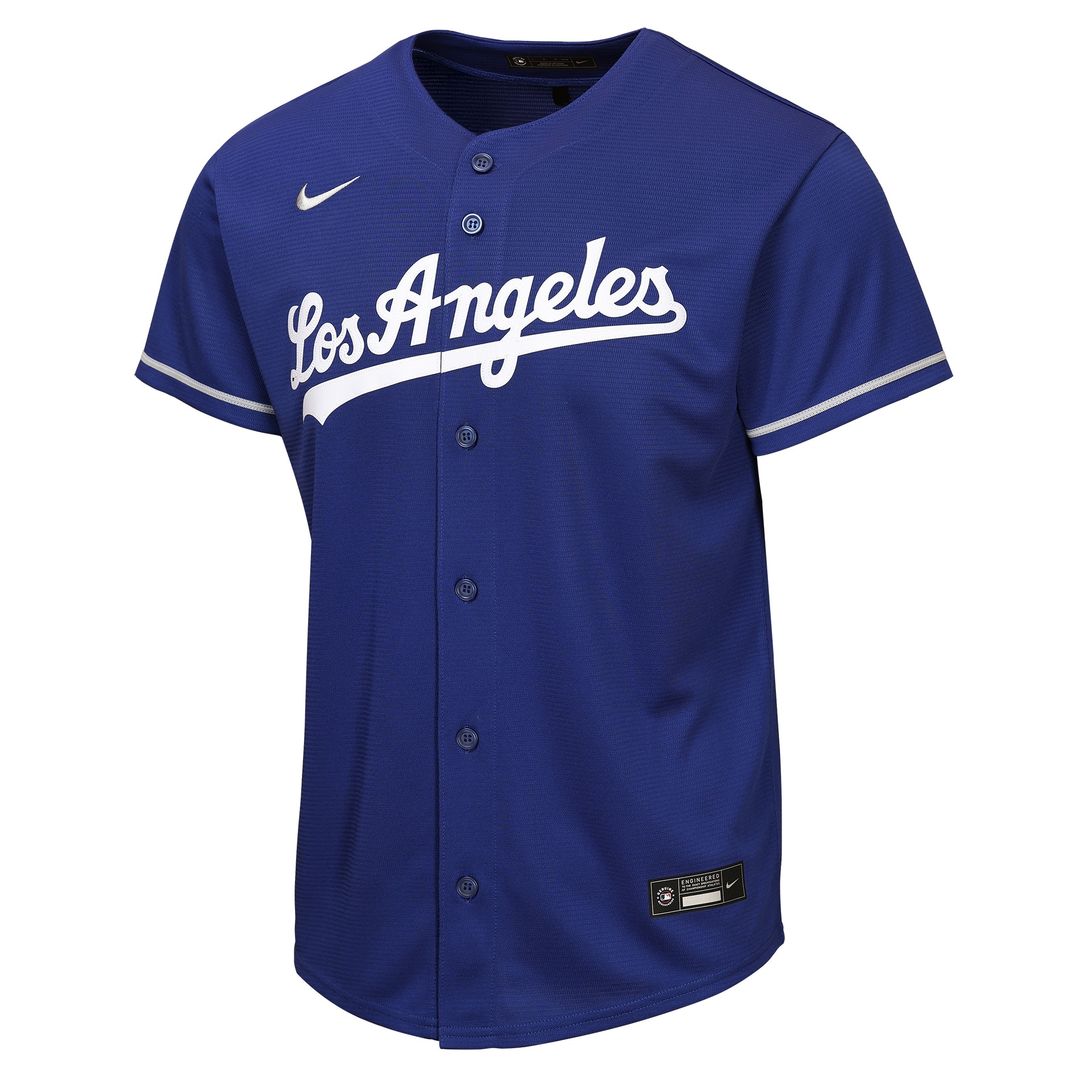Los Angeles Dodgers Freddie Freeman Nike Youth Alternate Replica Jersey - Royal Team Jersey Sports Fan Apparel