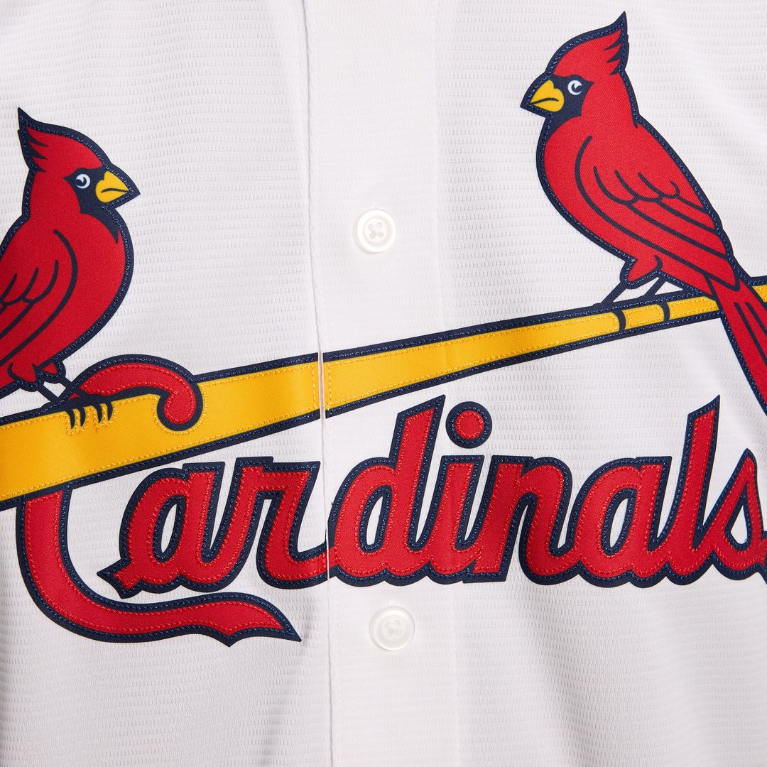 St. Louis Cardinals Masyn Winn Nike Alternate Replica Jersey - Light Blue Team Jersey Sports Fan Apparel