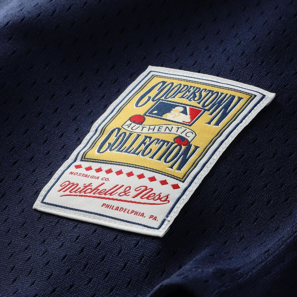 Chicago White Sox Carlton Fisk Mitchell & Ness Authentic Batting Practice Jersey - Navy Team Jersey Sports Fan Apparel