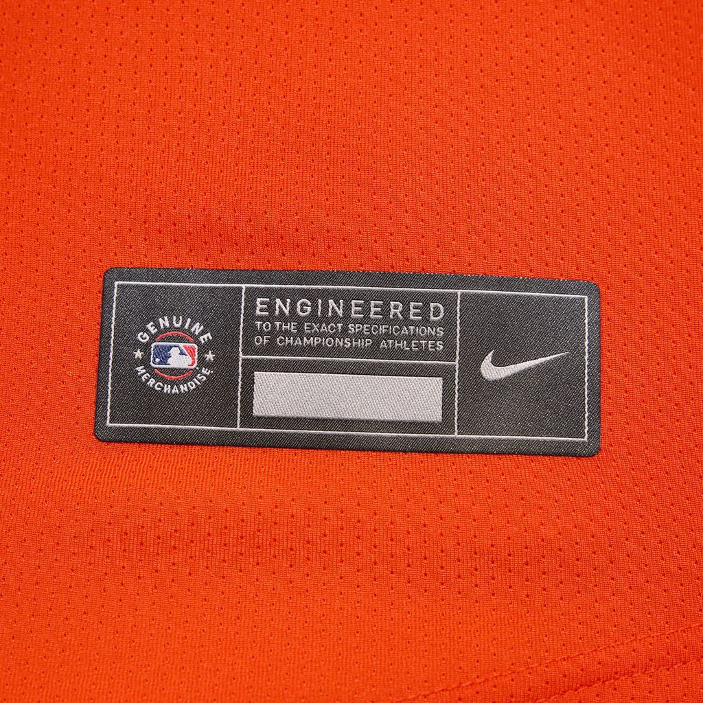 Baltimore Orioles Adley Rutschman Nike Road Limited Player Jersey - Gray Team Jersey Sports Fan Apparel