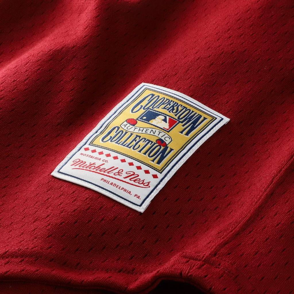 Philadelphia Phillies Darren Daulton Mitchell & Ness Authentic Batting Practice Jersey - Scarlet Team Jersey Sports Fan Apparel