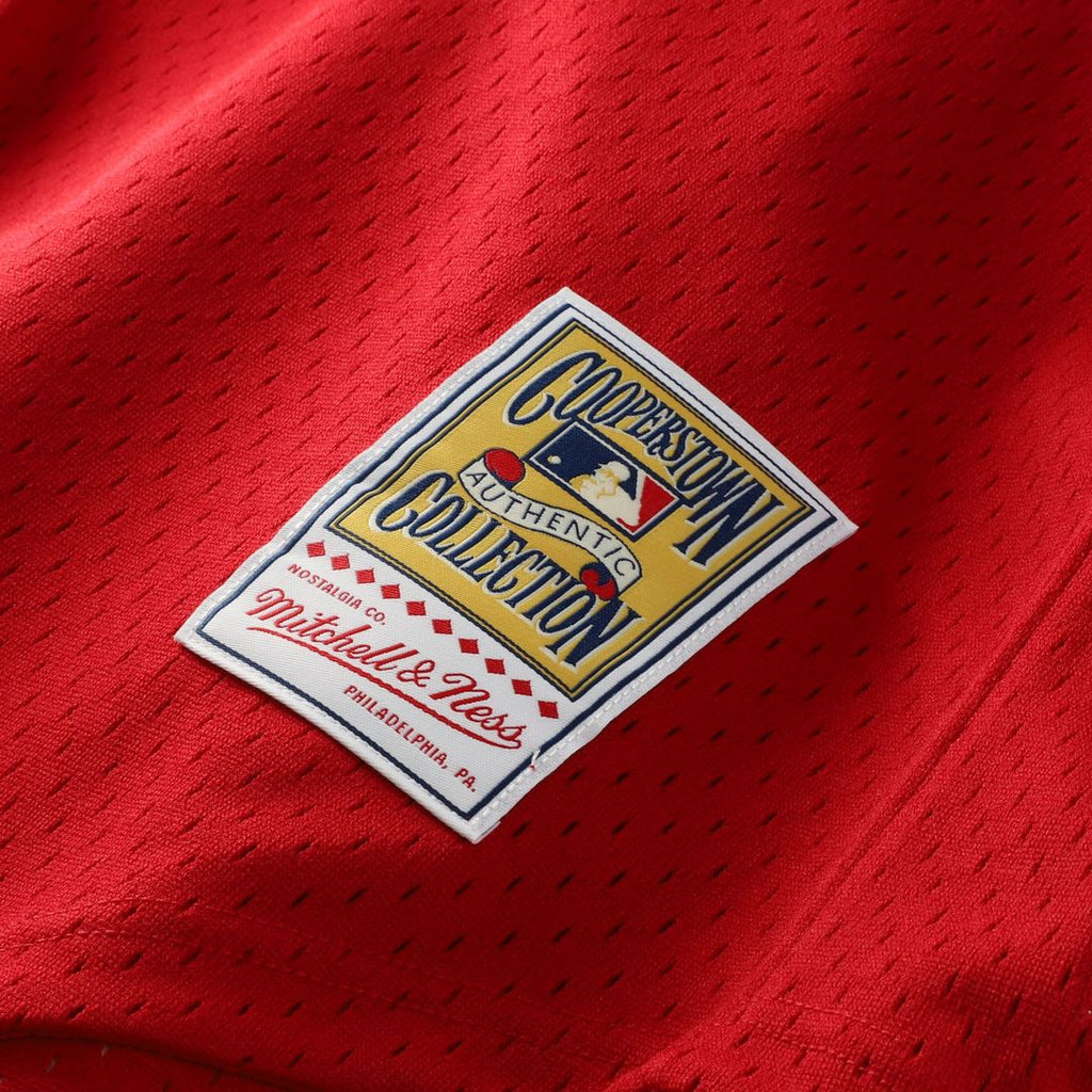 St. Louis Cardinals Ozzie Smith Mitchell & Ness Authentic Batting Practice Jersey - Navy Team Jersey Sports Fan Apparel