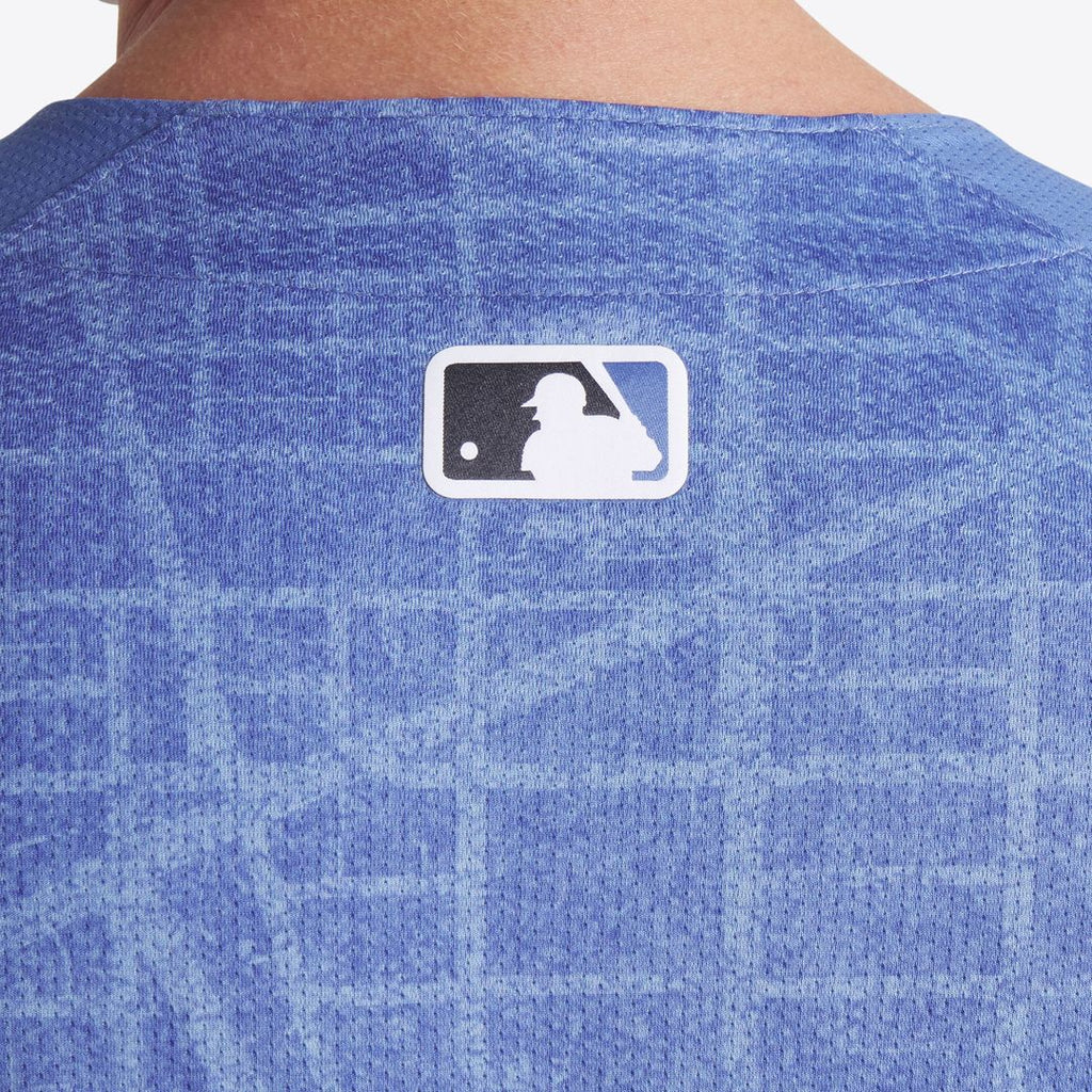 Washington Nationals Nike 2025 City Connect Limited Jersey - Blue Team Jersey Sports Fan Apparel